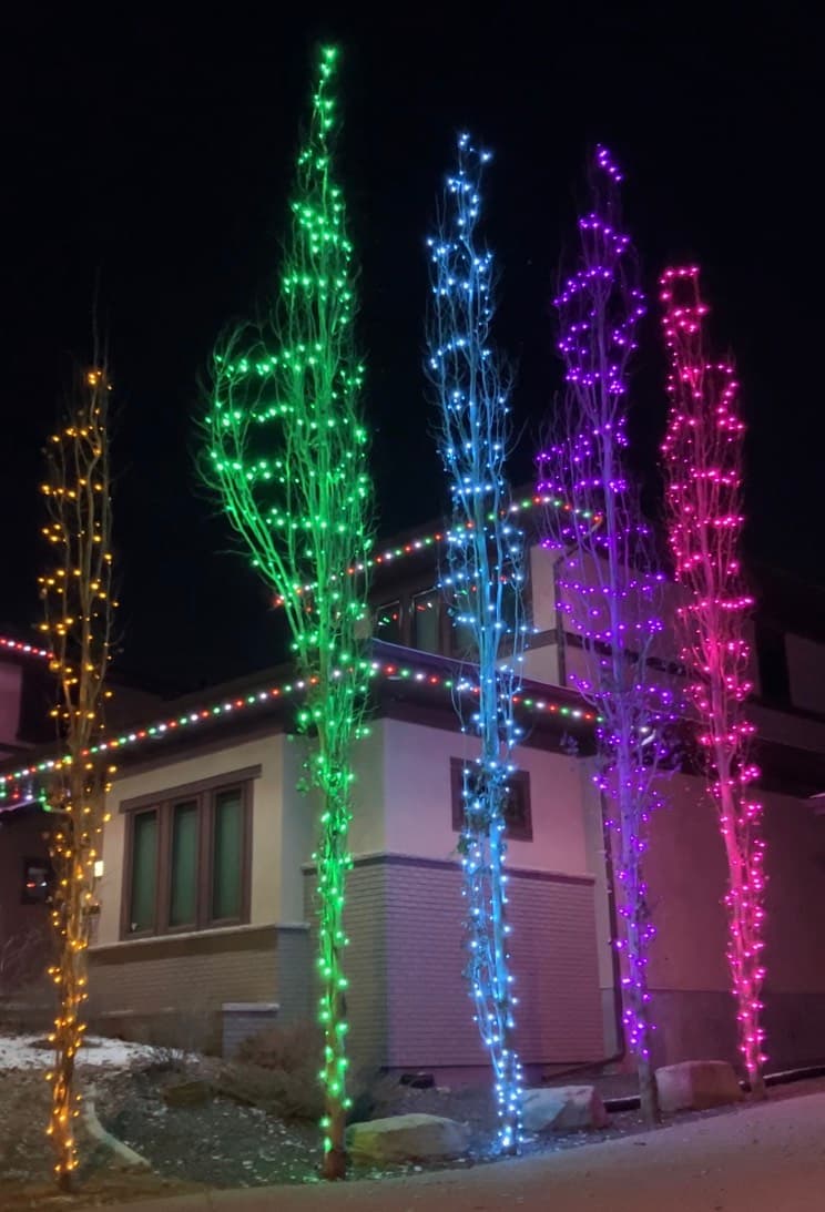 Mop Monkeys Calgary — Christmas Light Installation Colorful Aspen Tree Calgary
