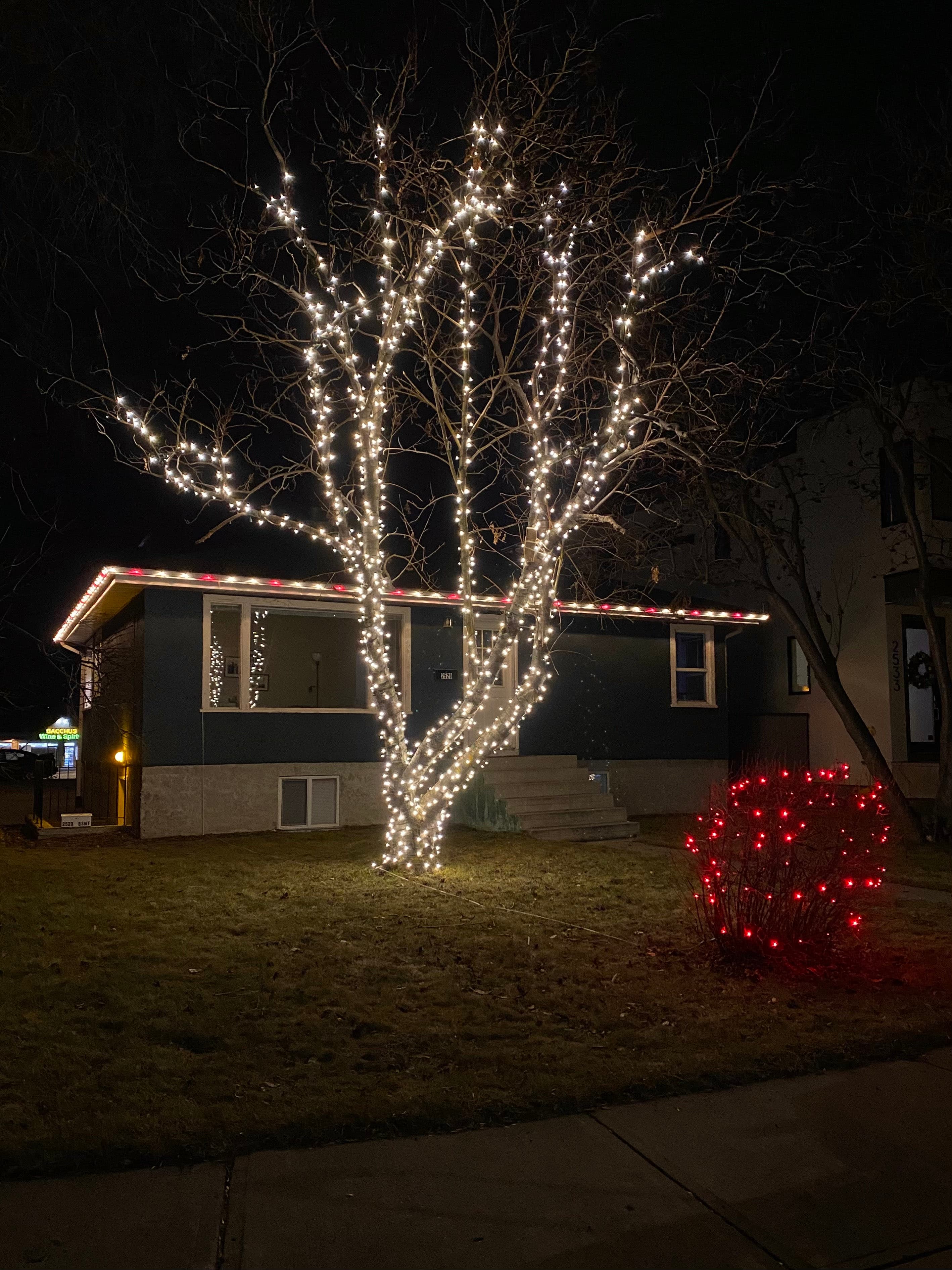 Mop Monkeys Calgary — Christmas Light Installation Tight Wrap Tree Calgary