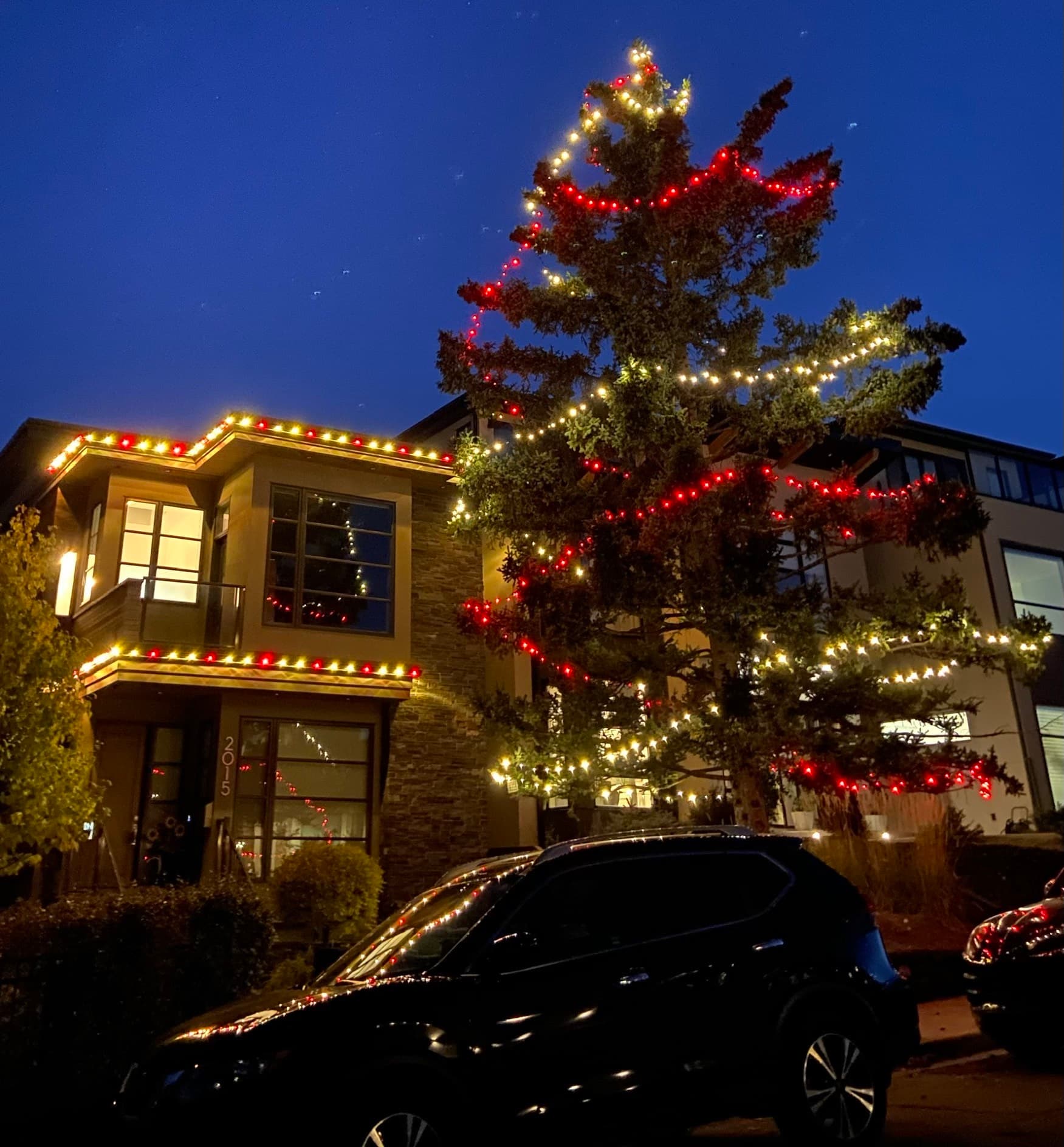 Mop Monkeys Calgary — Chrsitmas Light Installation Home And Tree Marda Loop Calgary