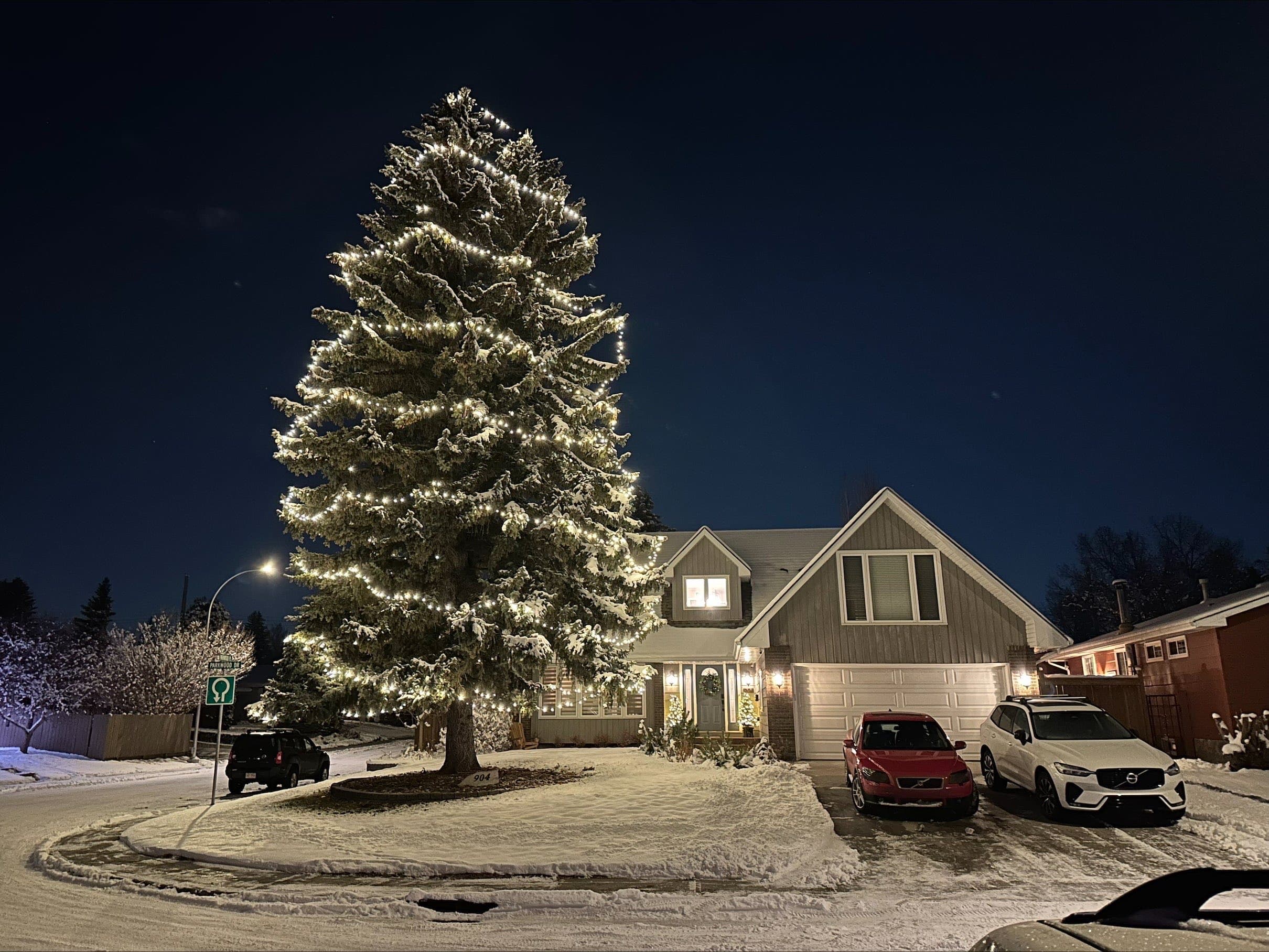 Mop Monkeys Calgary — Large Christmas Tree Light Installation Calgary
